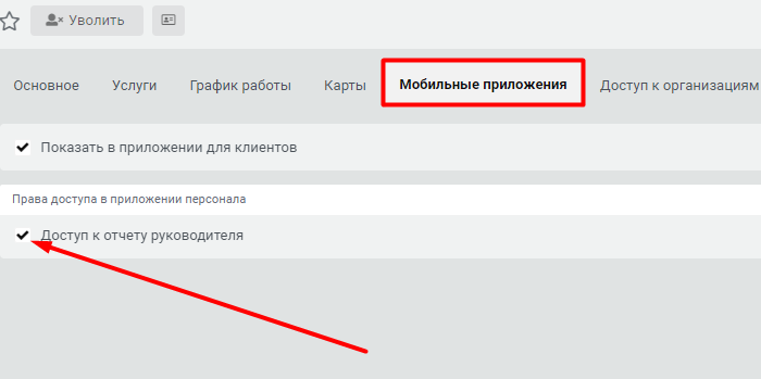 Мобильные приложения - Доступ к отчету руководителя