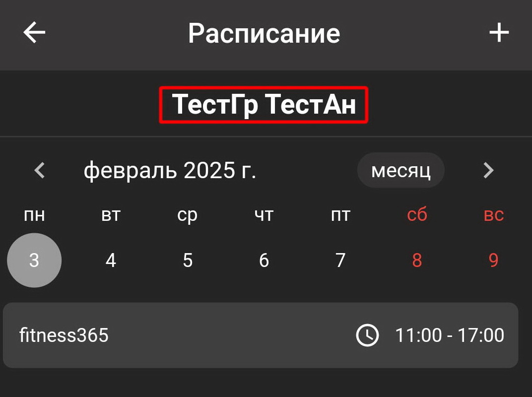 Мобильное приложение тренера, расписание, настройка для полного расписания